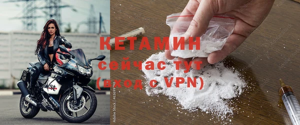 прущие грибы Балабаново