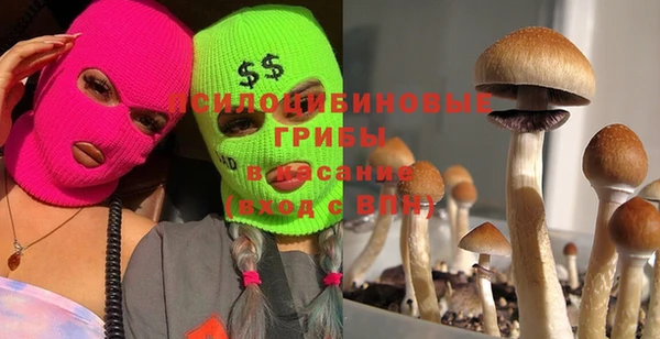 прущие грибы Балабаново