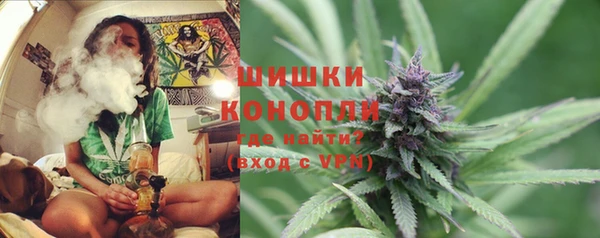 прущие грибы Балабаново